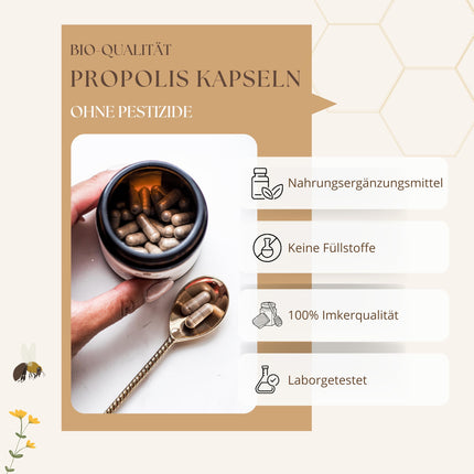 bedrop Organic Propolis Capsules 800mg per capsule, high dosage - 60 Propolis extract capsules from organic beekeeping - Rich in polyphenols &amp; flavonoids - In sustainable glass packaging