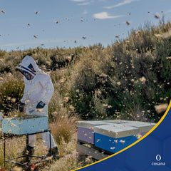 Cosana NZCAPE™30+ Propolis Throat Spray with Manuka Honey 400 MGO + from New Zealand &amp; 100% Pure, Propolis Spray for Mouth and Throat