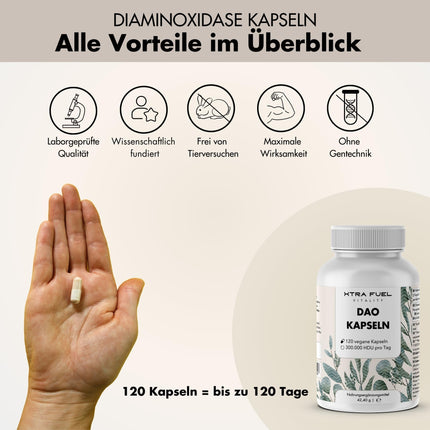 DAO Capsules 120 pieces (high-dose) - 300,000 HDU per daily dose - DAO enzyme from pea protein - vegan &amp; laboratory-tested