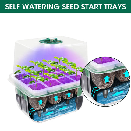 MYMULIKE 5 Pack Silicone Indoor Greenhouse Grow Box with Plant Lamp, Self-Watering Mini Greenhouse Small Grow Kit, Grow Box Reusable for Tomatoes, Peas, Beans, Peppers