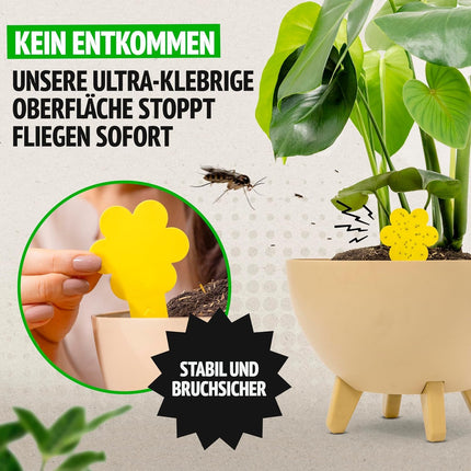 Super Ninja Fungus Gnat Control - 30-pack, highly effective yellow sticky traps for indoor use, yellow sticky trap for plants, non-toxic and environmentally friendly, yellow stickers usable for 3 months