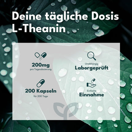 SOLVISAN L-Theanine Capsules - IMPORTANT: Study dosage of 200 mg per day - 200 Capsules - No additives