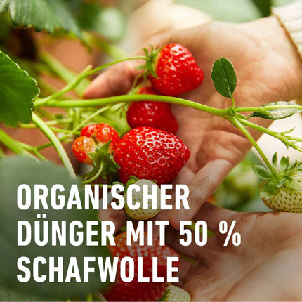 COMPO BIO Berry Long-Term Fertilizer for all berry plants, pome and stone fruit, 5 months long-term effect, 750 g, Berry Fertilizer