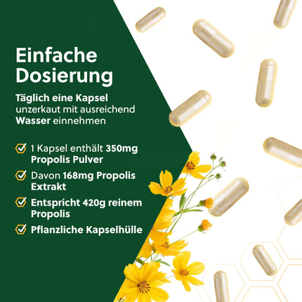 beegut ORGANIC Propolis Capsules, 60 capsules in a vegetable capsule shell with ORGANIC Propolis extract, sustainable packaging