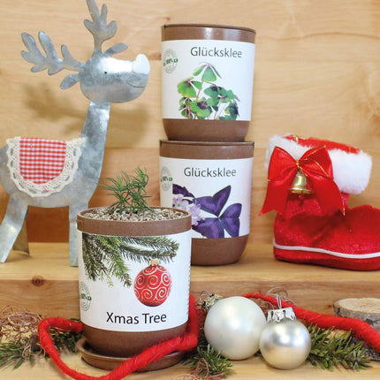 Feel Green Ecocan, Lucky Clover, Sustainable Gift Idea (100% Eco Friendly), Grow Your Own/Growing Kit, The Growing Eco-Can, Made in Austria