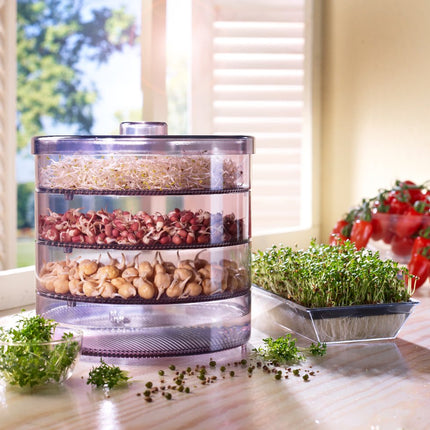 Dehner Sprout House, for growing sprouts, with 4 trays