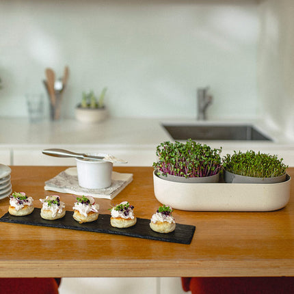 Urbalive 2-in-1 large sprouting tray set - 2x cress growing trays for sprouts, cress seeds, microgreens - designer cress sieve made of high-quality plastic - sprouting box germination device with regrow option
