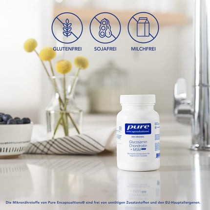 Pure Encapsulations - Glucosamine Chondroitin + MSM - High Dose with Organic Sulfur - 60 Capsules