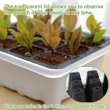 GAESHOW 12 Pack Indoor Greenhouse Propagator, 144 Grid Mini Greenhouse Propagation Set with Raised Lid, Reusable Propagation Plate, Greenhouse Propagation Trays for Seedling Plant