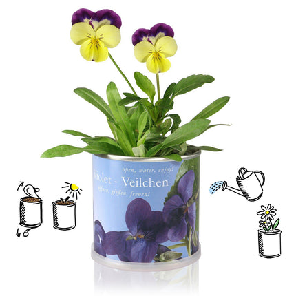 MacFlowers | Small Grow Kit with Sunflowers | Design Happy Birthday Packages | Gift set with one variety of seeds in a cute instant flower tin