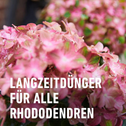COMPO Rhododendron Long-Term Fertilizer 850g