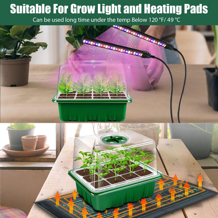 zociko indoor greenhouse growing box, 3 pieces germination trays, mini greenhouse growing set, growing shelves seedling starter trays greenhouse growing tray with lid ventilation for seedling plant