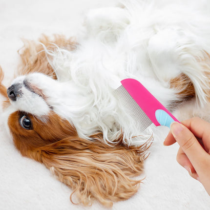 Lice comb, nit comb, metal human lice comb, nit comb extra fine, flea comb, lice remedy, flea combs, nit comb safely removes lice from extra fine for baby, children, adults and pets