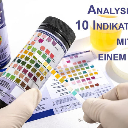 100 One+Step urine test strips for 10 indicators I Health test with reference color card I Urine test for urinary tract infection I Urine analysis acids bases household