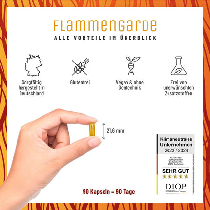 Frankincense Turmeric Ginger Capsules High Dose - 196.1 mg Boswellic Acid, 133.3 mg Curcumin, Cinnamon, Gingerol &amp; Piperine - No chemical anti-inflammatories or joint capsules