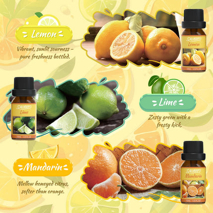 SALUBRITO Citrus Essential Oils Set, Pure Natural Citrus Fragrance Oils for Diffusers - Sweet Orange, Bergamot, Grapefruit, Lemon, Mandarin, Lime Aromatherapy Oil