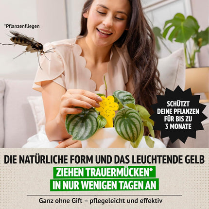 Super Ninja Fungus Gnat Control - 30-pack, highly effective yellow sticky traps for indoor use, yellow sticky trap for plants, non-toxic and environmentally friendly, yellow stickers usable for 3 months