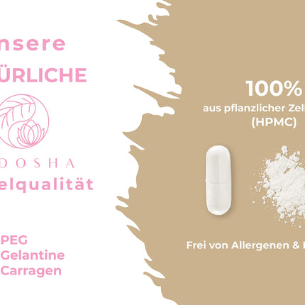 QIDOSHA® Wild Yam Root Extract, 240 pcs/jar, 1000mg Wild Yam Root Extract with 200mg Diosgenin per daily serving, Mexican Wild Yam Capsules with high dosage, vegan, made in Germany