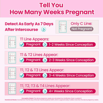Accufast Pregnancy Test with Week Determination for Early Detection, Can Show How Many Weeks Pregnant, hCG Urine Test with 99.99% Accuracy &amp; Fast Results (2 Tests)
