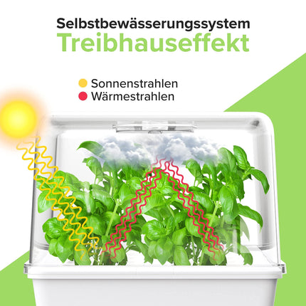 MUNROOMY Mini Greenhouse - Indoor Greenhouse with Self-Watering System - Propagator for Cuttings - Growing Kit for the Windowsill &amp; Indoor Herb Garden