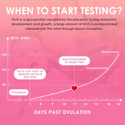 20 Pregnancy Test Early Test, Ultra-Sensitive Pregnancy Test Strips Rapid Detection, 10 mIU/ml Early Pregnancy Test, Reliable Results