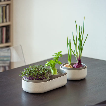 Urbalive 2-in-1 large sprouting tray set - 2x cress growing trays for sprouts, cress seeds, microgreens - designer cress sieve made of high-quality plastic - sprouting box germination device with regrow option
