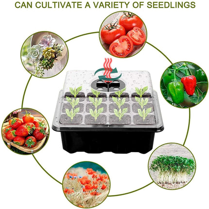Meanju indoor greenhouse cultivation box, 3 pieces 36 cells mini greenhouses cultivation, cultivation trays cultivation set, cultivation trays seedling with lid, plastic cultivation trays for farm and courtyard