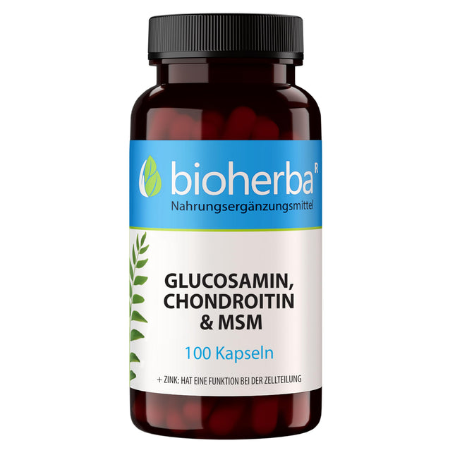 Glucosamine Chondroitin MSM + Zinc – 100 capsules with zinc for normal bone function and cell protection from BIOHERBA PZN 17190938