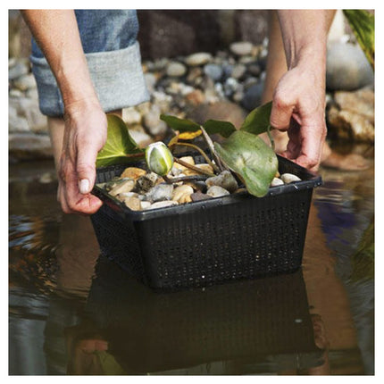 Inter Flowers GmbH Inter Flower -10 plant baskets, aquatic plant basket, 11 x 11 cm, for garden ponds, suitable for pond plants such as water lilies, plastic, pond plant basket, garden pond