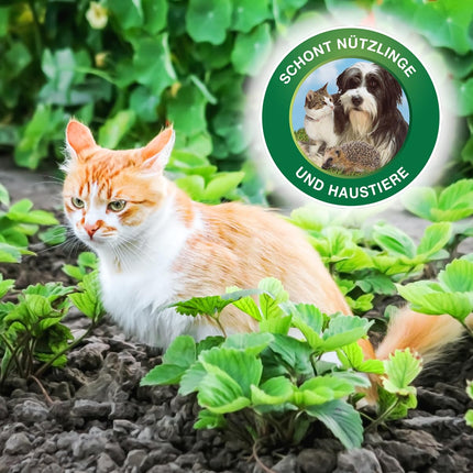 PROTECT GARDEN Protect MaXX Slug Pellets FE, rainproof, reliable slug control on vegetables, fruit, and ornamental plants, 1.2 kg folding box for up to 315 m²