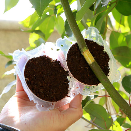 zfdg 4 Pack Plant Rooting Device, Propagation Ball, Plant Root Growing Box, Plant Root Growing Box, for High Pressure Grafting Plants Root Control Plant Propagation (Black)
