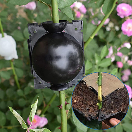Plant Rooting Device Box Plant Root Booster Propagators Gardening High Pressure Propagation Ball Box Reusable Growing Grafting For Garden Grafting Root Formation, 12 Pieces1