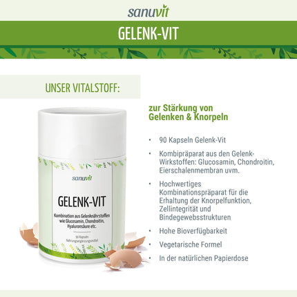 Sanuvit® - Joint Vitamin | with patented joint nutrients Acti-Joint® | high bioavailability | premium raw materials | Made in Austria | 90 capsules