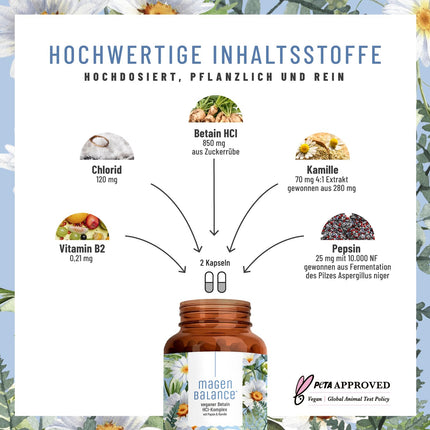 NATURTREU® Magenbalance Betaine HCL Complex vegan - with Pepsin, Chamomile &amp; Chloride - Supports stomach acid and digestion* - Full spectrum enzyme capsules with high dosage
