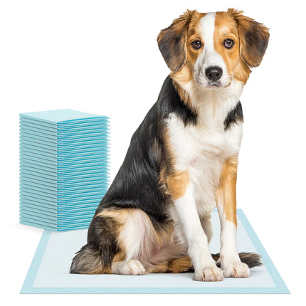 200x ARNOMED puppy pads, puppy accessories, leak-proof dog toilet in 60x90cm, dog accessories for small dogs, disposable puppy pads absorbent, 5-layer pee mats for dogs, puppy pads