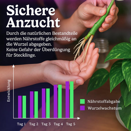 BIOLORA® 25g Turbo Root Activator - Strong root formation for cuttings and young plants - Indoor &amp; Outdoor