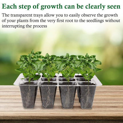 Fohil 10 Pieces Indoor Greenhouse Propagator, Mini Greenhouse Propagation Set, Plastic Propagation Trays with Small Garden Tools and Plant Label, 12 Holes, Ideal for Seedling Plant Cultivation