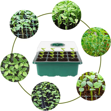 Mecctuck Growing Greenhouse, 3 Pack Grow Box, Indoor Greenhouse, Growing Kit, Mini Greenhouse, Indoor Plant Growing Greenhouse, Growing Tray, Growing Pots with Lid and Ventilation