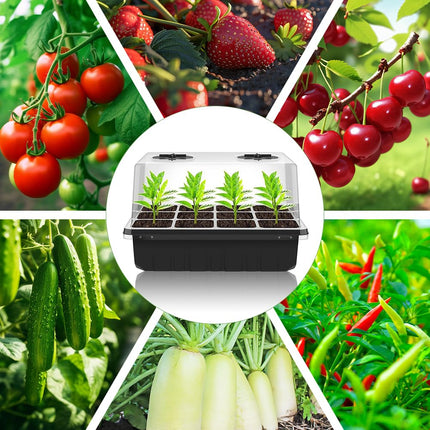 Afenau 10-piece indoor greenhouse cultivation box, 120-hole mini greenhouse cultivation set, cultivation greenhouse with 20 plant labels and 2 gardening tools, small greenhouse for growing seedlings