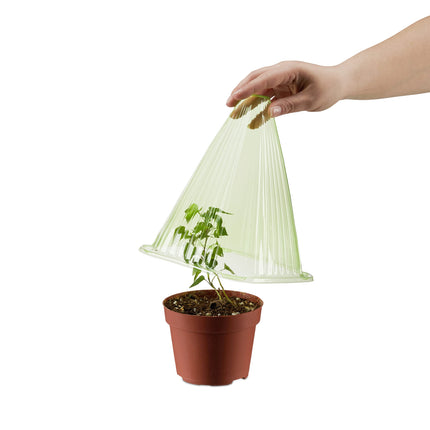 Relaxdays Plant Hat Set of 24, Planting Aid, Plant Protection from Frost, Snails &amp; Birds, PVC, Plant Cover, Green 10026432