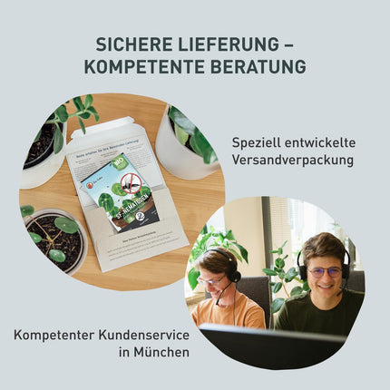 Plantura SF nematodes against fungus gnats, for watering, highly effective &amp; organic, beneficial insects from Germany, 1 million for 1 m²/ approx. 10 plants