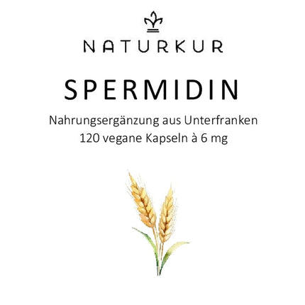 Naturkur® Spermidine 6mg - 120 capsules in a pharmacist's glass jar - wheat germ extract, vegan, without additives, handmade in Lower Franconia