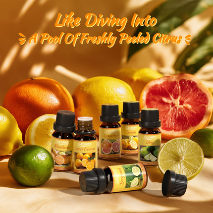 SALUBRITO Citrus Essential Oils Set, Pure Natural Citrus Fragrance Oils for Diffusers - Sweet Orange, Bergamot, Grapefruit, Lemon, Mandarin, Lime Aromatherapy Oil