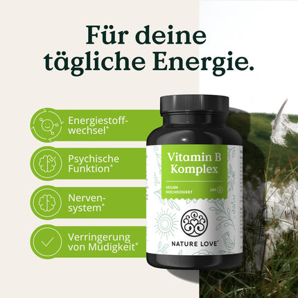 NATURE LOVE® Vitamin B Complex – High Dose: With 500 µg Vitamin B12 – 180 Capsules (6 months) – all 8 B vitamins (B1, B2, B3, B5, B6, B7, B9, B12) – vegan, laboratory-tested and produced in Germany