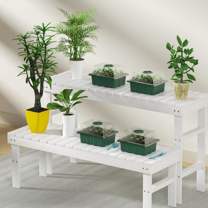 Estefanlo seed trays with lids, 10 pieces, seed tray for plants, thickened seed station