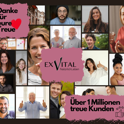 EXVital® Resveratrol Capsules, 98% Trans-Resveratrol, 500mg per capsule, 120 vegan capsules, vegan &amp; without additives, laboratory tested