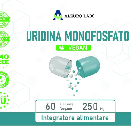 Alzuro Labs Uridine Monophosphate | 250 mg | 60 Vegan Capsules | High-Dose Brain, Memory &amp; Nervous System Support | 2-Month Supply | Laboratory-Tested GMP-Certified Dietary Supplement