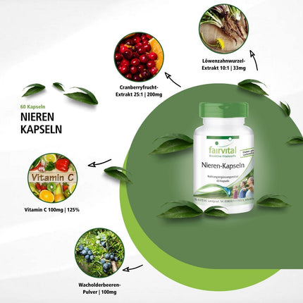 Fairvital | Kidney Capsules - 60 Capsules - HIGH DOSE - VEGAN - with cranberry, bearberry, dandelion, and more