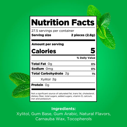 Pur Gum | Sugar-Free Chewing Gum | 100% Xylitol | Vegan, Aspartame-Free, Gluten-Free &amp; Diabetic-Friendly | Natural Spearmint Flavored Chewing Gum, 55 Pieces (1 Pack)