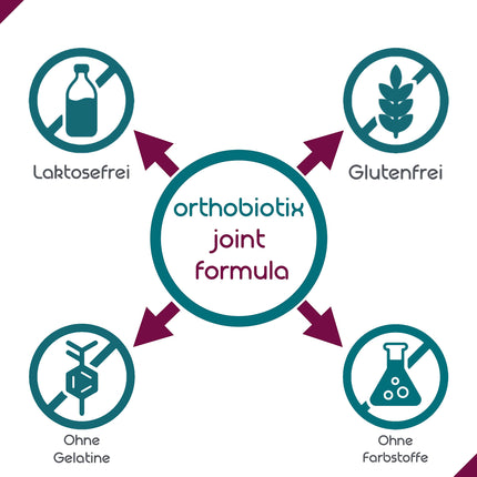 orthobiotix joint formula - with glucosamine, chondroitin, MSM, hyaluronic acid and 10 other nutrients - 90 high-dose capsules